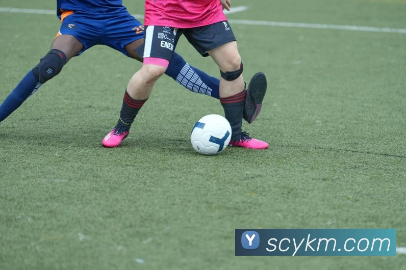 多媒体互动体验